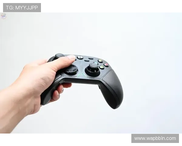 老友十三水电脑版新手入门指南，详细介绍游戏规则和基本操作帮助快速上手